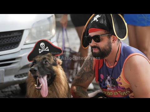 dogs-parade-at-rio-carnival-as-their-owners-protest-against-animal-cruelty