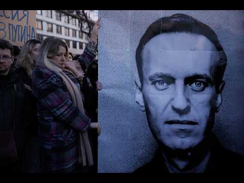 uk,-allies-say-kremlin-killed-its-critic-navalny-with-frog-poison