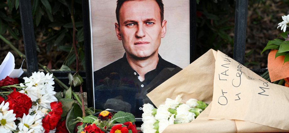 why-a-dart-frog-poison-believed-to-have-killed-alexei-navalny-points-to-the-kremlin