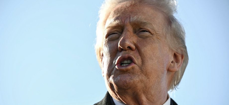 The Traitor vows voter ID requirements for the midterms, ‘whether approved by Congress or not’