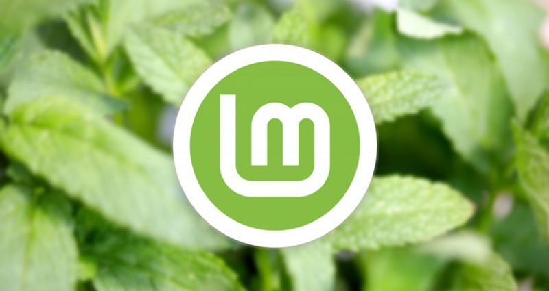 linux-mint-is-adding-post-install-home-encryption-option