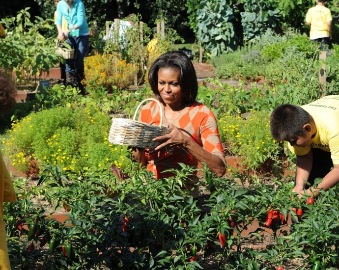 food-used-to-be-democrats’-territory.-what-happened?