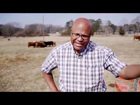 democrat-seeks-bipartisan-support-in-election-to-replace-marjorie-taylor-greene