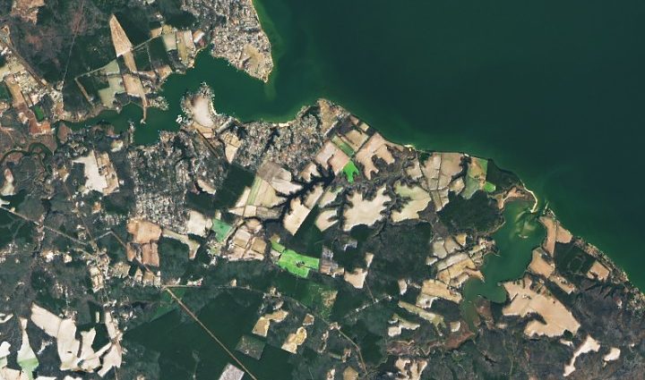 surveying-popes-creek