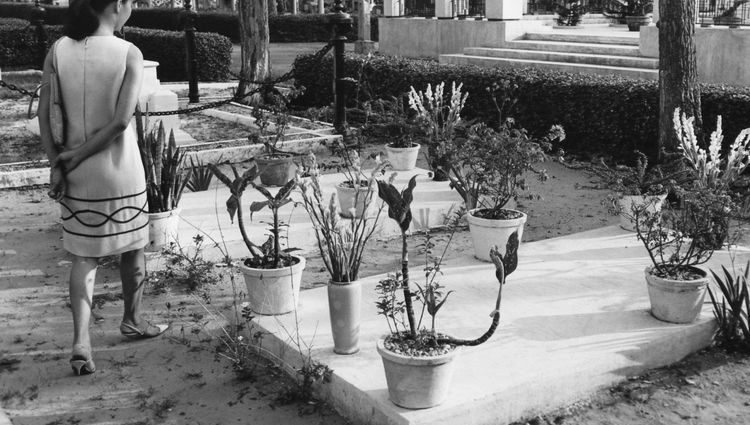 ‘kennedy’s-coup’-ignited-regime-change-doom-loop