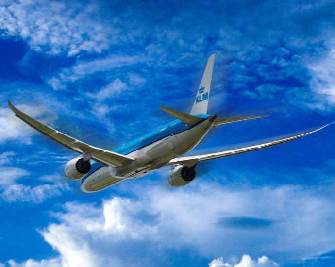 is-it-true-that-the-boeing-787-dreamliner-has-a-smoother-ride-than-the-airbus-a350?