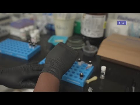 could-codis-match-crack-nancy-guthrie-case?-|-jesse-weber-live