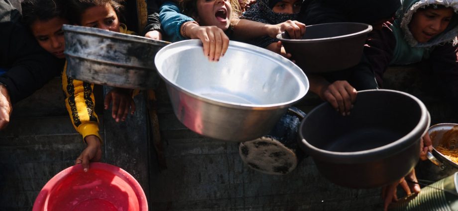 hamas:-the-traitor’s-‘board-of-peace’-must-stop-israel’s-killing-in-gaza