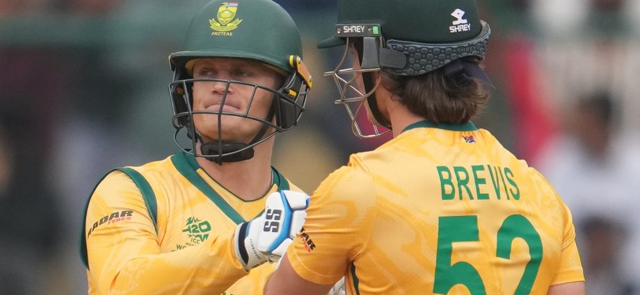 t20-world-cup:-south-africa-beat-uae-before-india-showdown