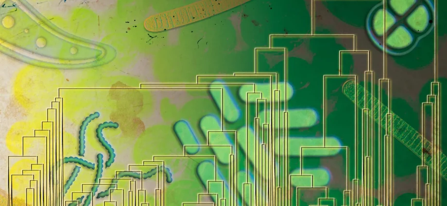 ancient-microbes-may-have-used-oxygen-500-million-years-before-it-filled-earth’s-atmosphere