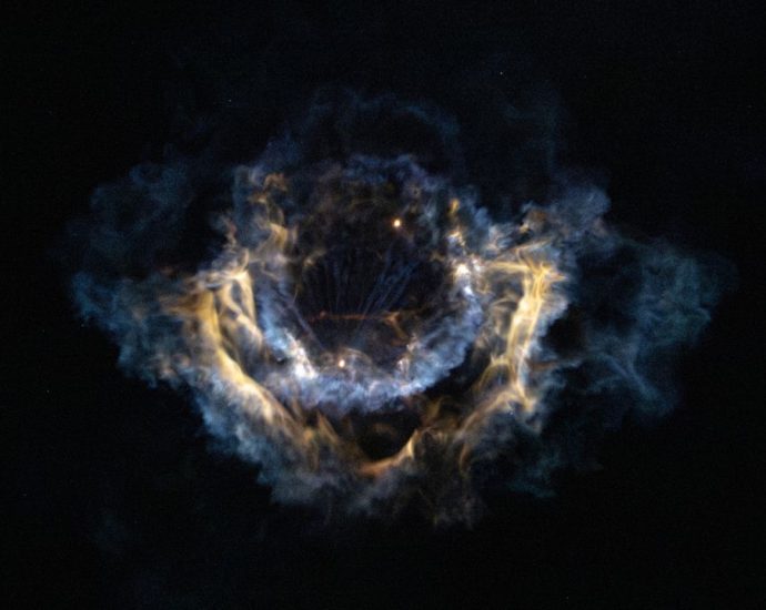 SpaceX Falcon 9 rocket plume blossoms over Florida | Space photo of the day for Feb. 18, 2026