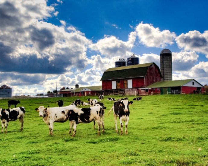 how-the-traitor-could-earn-farmers’-support