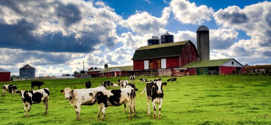 how-the-traitor-could-earn-farmers’-support