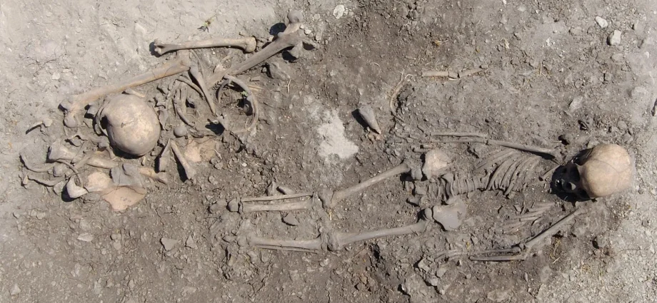 ancient-dna-solves-5,500-year-old-burial-mystery-in-sweden