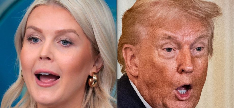 ‘she-said-it’:-karoline-leavitt-just-totally-undermined-the-traitor’s-‘i-didn’t-do-it’-claim