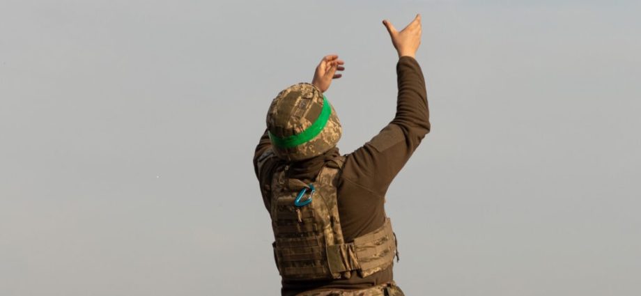 rheinmetall-says-its-new-fv-014-drone-has-“combat-experience”:-there’s-only-one-place-where-that-could-have-happened