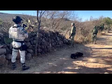 secret-tunnel-discovery-offers-glimpse-of-mexico’s-fuel-black-market