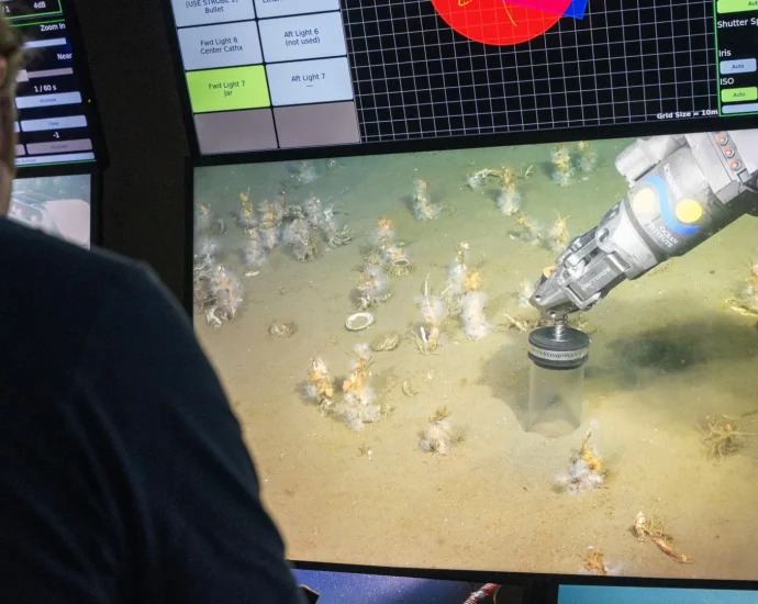 scientists-uncover-oxygen-loving-ancestor-of-all-complex-life