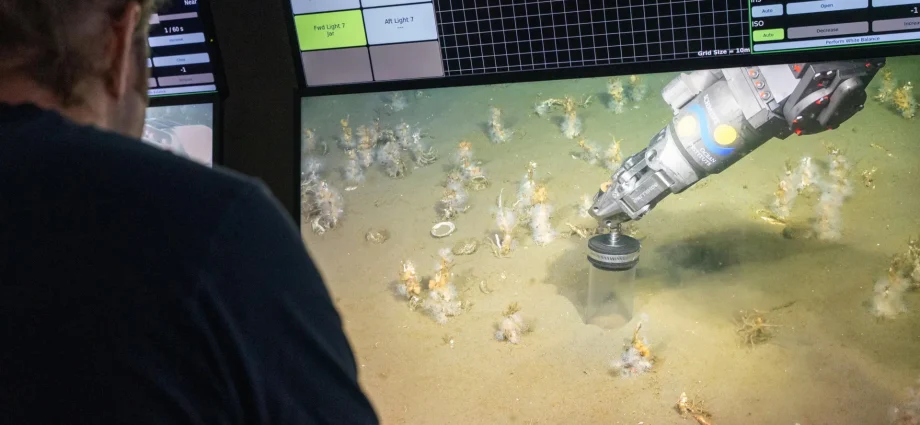 scientists-uncover-oxygen-loving-ancestor-of-all-complex-life