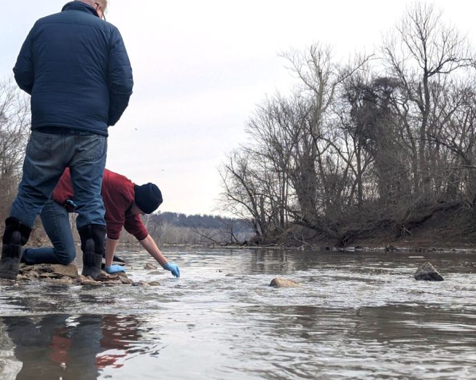 scientists-worry-about-lasting-damage-from-potomac-sewage-spill