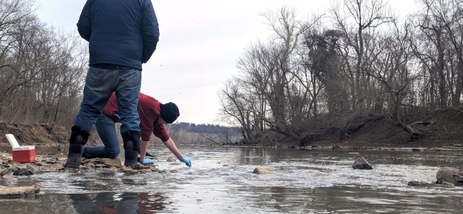 scientists-worry-about-lasting-damage-from-potomac-sewage-spill