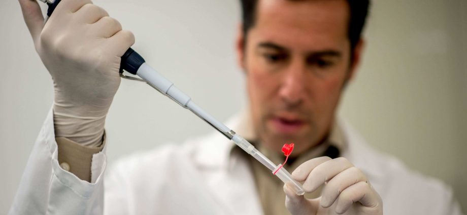 forensic-genealogy-helped-catch-killers.-can-it-find-nancy-guthrie’s-kidnapper?