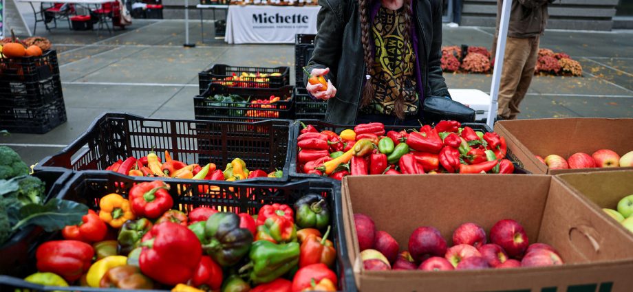 ‘the-damage-cannot-be-refunded’:-small-businesses-weigh-supreme-court’s-tariff-ruling