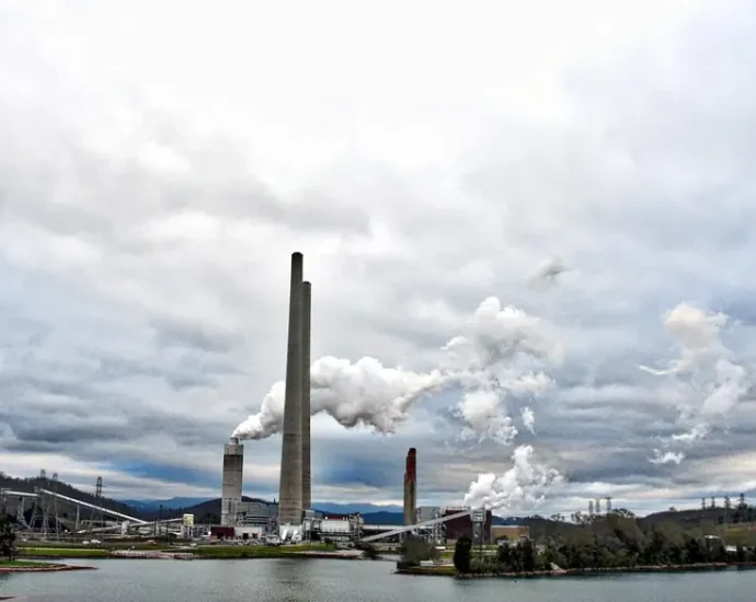 the-nation’s-largest-public-utility-is-going-back-to-coal