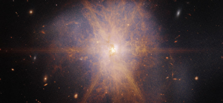 ir-stig-prima-seminar,-23-feb-2026