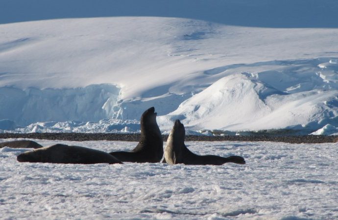 halting-irreversible-changes-to-antarctica-depends-on-choices-made-today