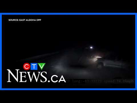 video-shows-driver-injured-trying-to-pass-transport-on-hwy.-17