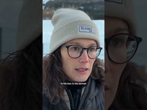 meet-nazgul,-the-unlikely-star-of-the-winter-olympics