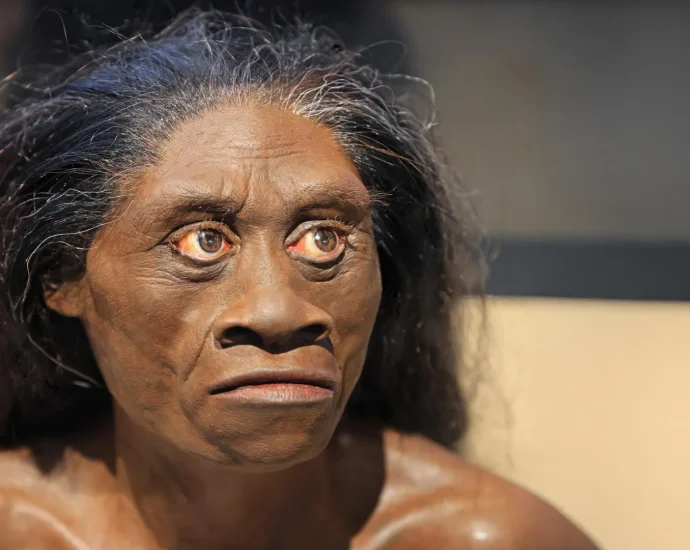 ancient-drought-may-have-wiped-out-the-real-life-hobbits-61,000-years-ago