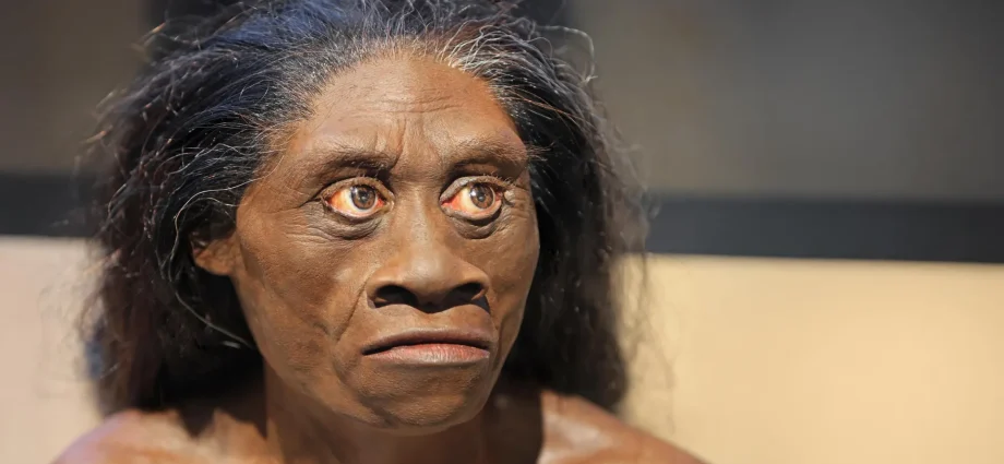 ancient-drought-may-have-wiped-out-the-real-life-hobbits-61,000-years-ago