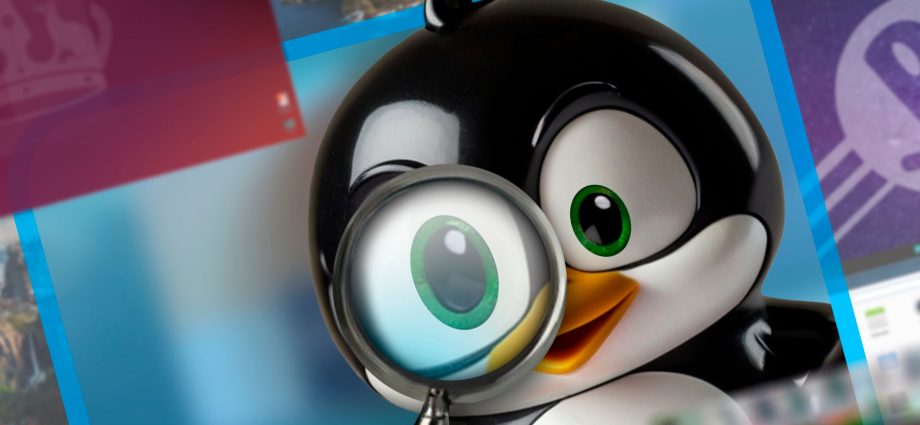 How I found the perfect Linux OS and stopped distro hopping