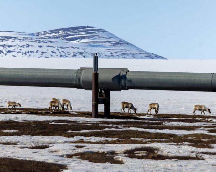 expanded-arctic-drilling-faces-a-wave-of-lawsuits