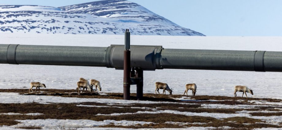 expanded-arctic-drilling-faces-a-wave-of-lawsuits