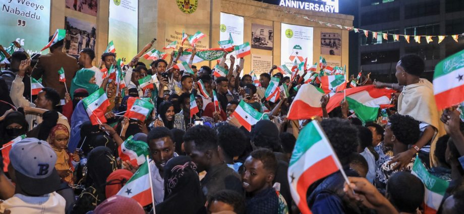 somaliland-minister-says-us-may-access-its-minerals,-military-bases:-report