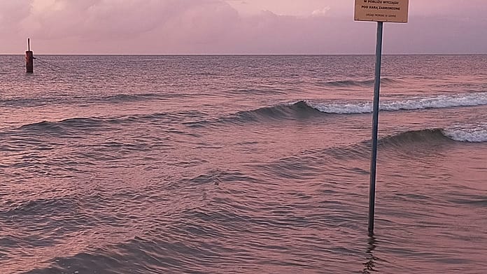 experts-warn-of-rapid-loss-of-water-in-the-baltic-sea:-‘a-vibrant-reef-is-turning-into-an-underwater-wasteland’