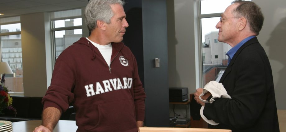 the-paranoid-style-of-jeffrey-epstein-has-come-for-us-all