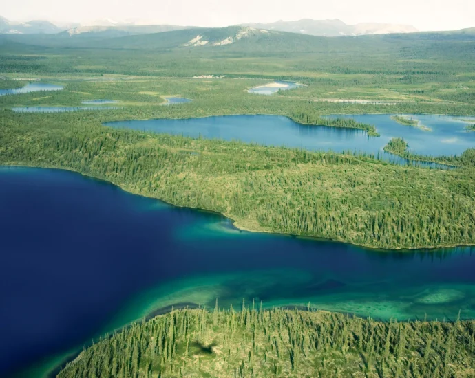 a-simple-water-shift-could-turn-arctic-farmland-into-a-carbon-sink