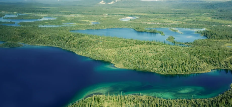 a-simple-water-shift-could-turn-arctic-farmland-into-a-carbon-sink