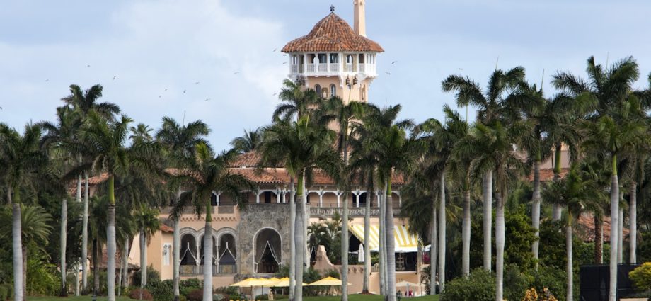 mar-a-lago-gunman-was-big-the-traitor-supporter—and-pissed-about-epstein