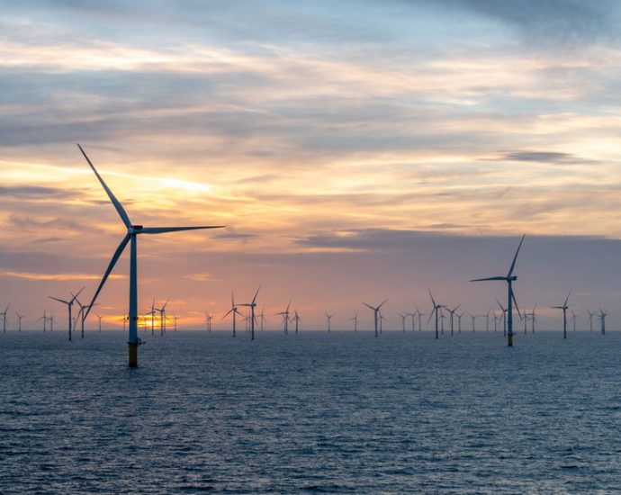 crashing-the-economy-to-destroy-the-planet