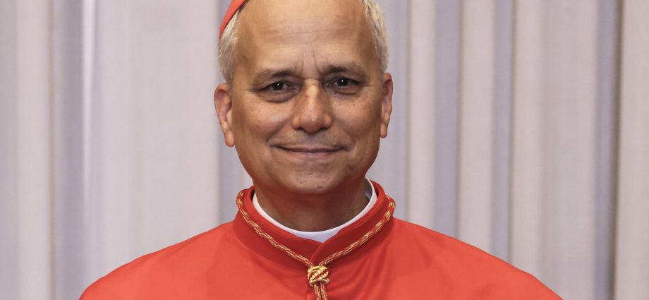 pope-leo-xiv-signals-no-shift-on-lgbtq+-doctrine-in-new-biography