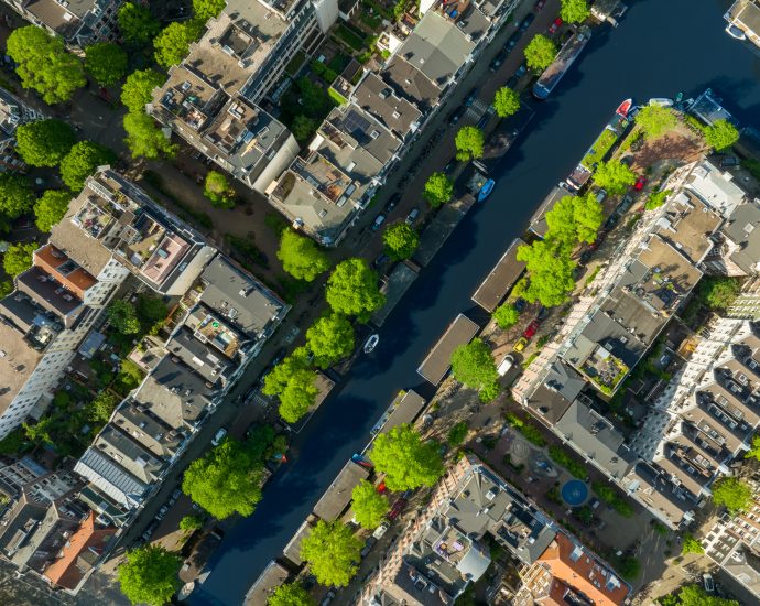 more-trees-where-they-matter,-please