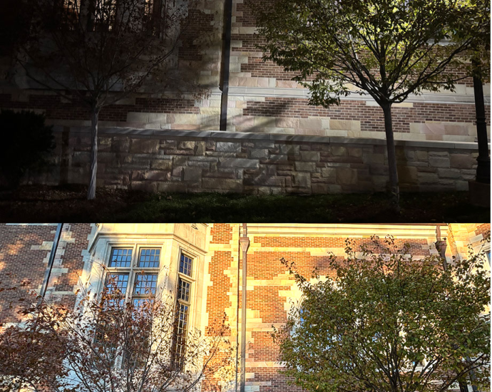 nasa-satellites-show-where-outdoor-lights-worsen-allergy-season