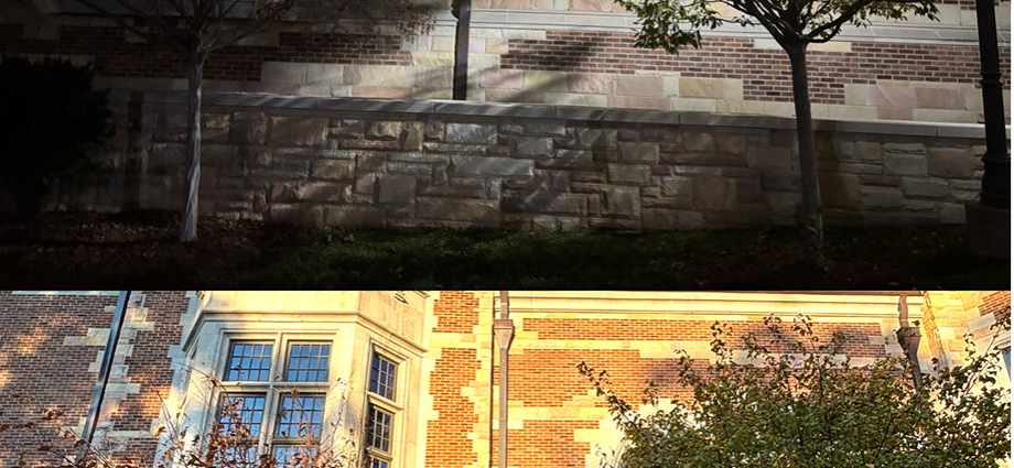 nasa-satellites-show-where-outdoor-lights-worsen-allergy-season