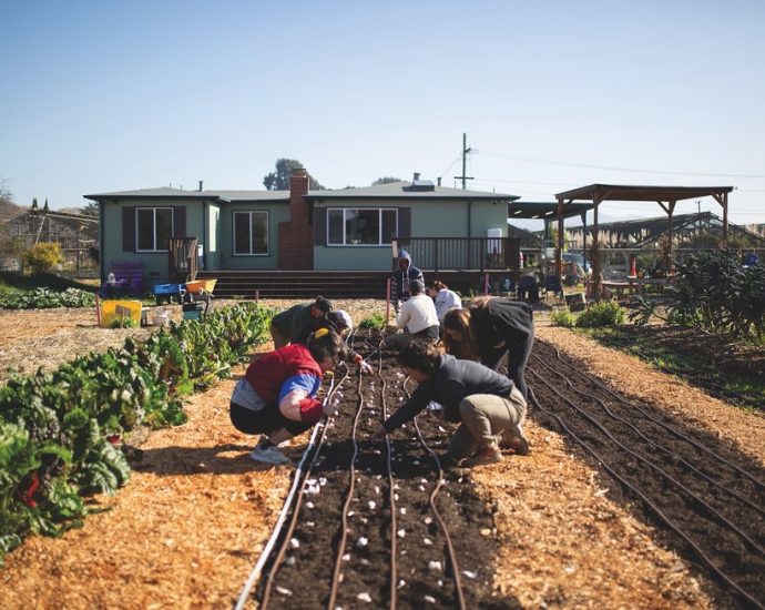 tending-land,-building-power