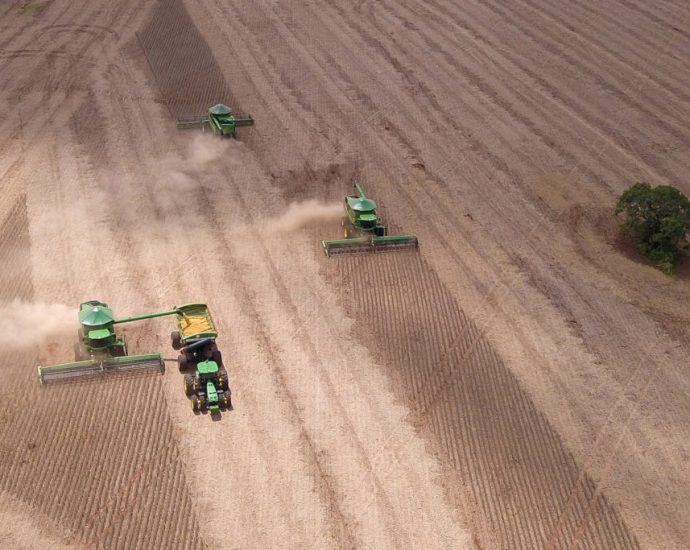 grasslands-and-wetlands-are-being-gobbled-up-by-agriculture,-mostly-livestock